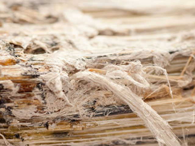 https://www.ukhousingdisrepairsolicitors.co.uk/wp-content/uploads/2020/10/asbestos.jpg
