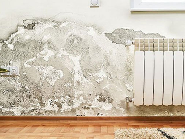 https://www.ukhousingdisrepairsolicitors.co.uk/wp-content/uploads/2020/10/damp.jpg