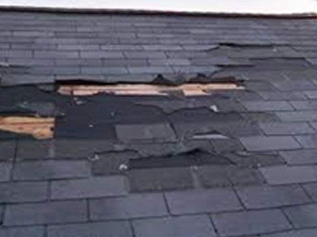 https://www.ukhousingdisrepairsolicitors.co.uk/wp-content/uploads/2020/10/root-problems.jpg